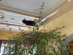 -萤火虫咖啡(后海店)