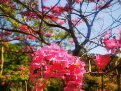 -华南国家植物园-售票处