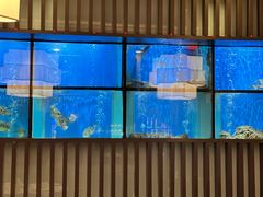 -珍宝海鲜JUMBO Seafood(尚嘉店)