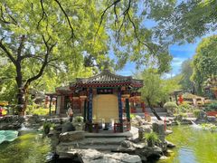 -白家大院·王府宫廷菜(苏州街店)