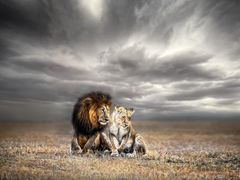 -罗红摄影艺术馆