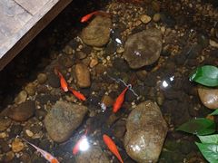 -邈墨茶馆(大兜路1号店)