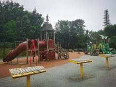 -东岳体育公园