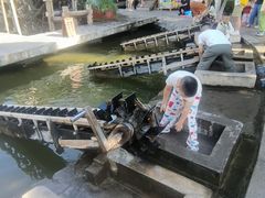 -水车博览园