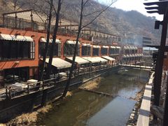 -Local泰莲庭(虹鳟鱼店)