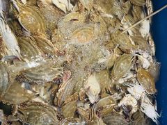 -星伦多自助料理(宝山龙湖天街店)