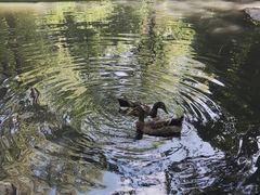 -沈阳鸟岛