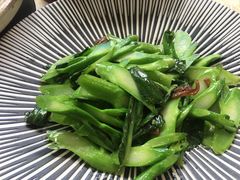 -得丘礼享谷·玉兰苑