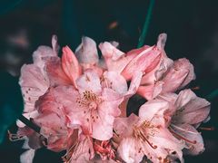 -大碗先生(万家丽店)