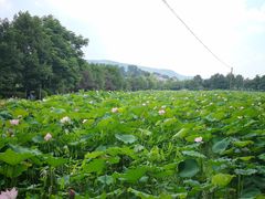 -韶山毛泽东同志故居