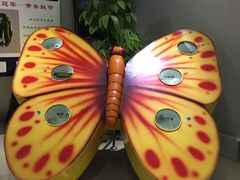 -上海昆虫博物馆