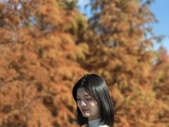-小芝红树林