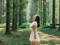 -黄海国家森林公园