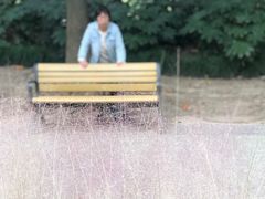 -苏州河梦清园环保主题公园