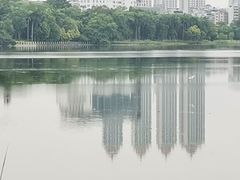 -南宁南湖公园