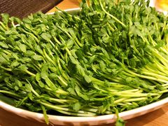 活体豆苗-如一鸡鲍鱼·粤式煲汤(长泰广场店)