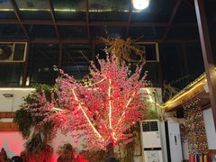 -丽江庭院之爱在路上(西单店)