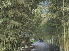 -皇家御河游(紫御湾码头)