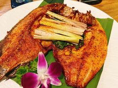 -紫滇源云南生态菜(丹凤街店)