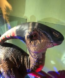 -恐龙探索乐园(磁器口店)