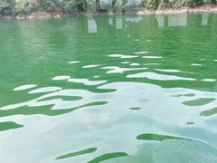 -千岛湖城中湖游船码头