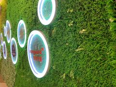 -大鹏佳兆业广场