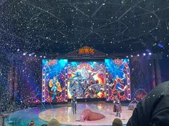-哈尔滨波塞冬海底世界