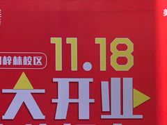 -童程童美少儿编程乐高机器人(凯德天府校区)