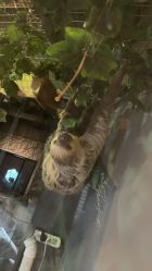 -未来动物城主题公园(正弘城店)