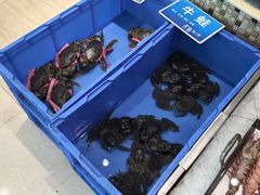 -双井轩(双井店)