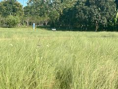 -艾溪湖湿地公园