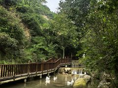 -云丘山景区