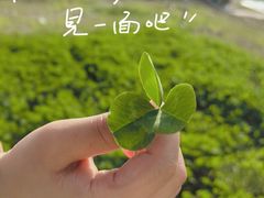 -渭河城市绿地运动公园