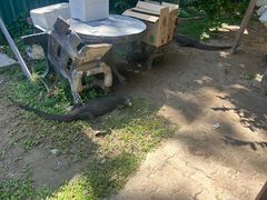 -东姑阿都拉曼海洋公园