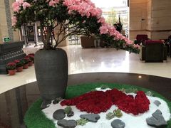 -九华山聚龙大酒店