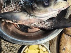 -好灶头妈妈菜·柴火灶台鱼·千岛湖土菜地标美食