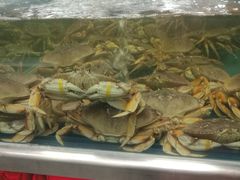 -盒马鲜生(大成店)