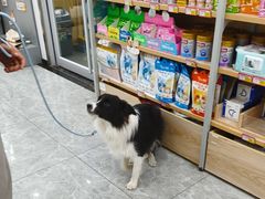 -艾贝尔宠物医院·宠保定点·超声绝育·免疫点(樱花路店)