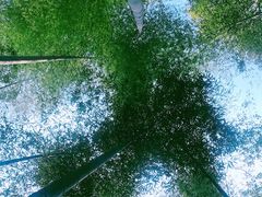 -黄公望隐居地