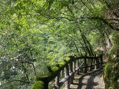 -神农架香溪源景区