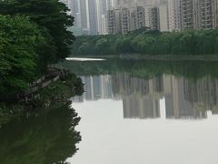 -怡海公园(桂城街道)