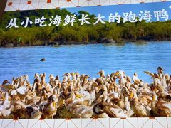 -虎婆冷饮店·海南特色炒冰(三亚湾店)