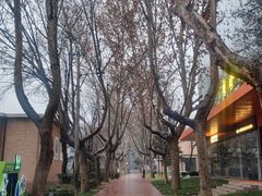 -西安电影制片厂