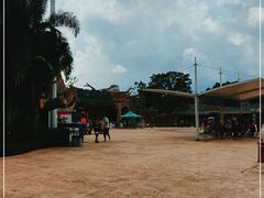 -美的鹭湖探索王国