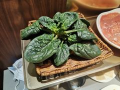 -巴奴毛肚火锅(悠唐购物中心店)