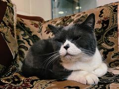 -雪茄客PURAVIDA俱乐部(上海店)