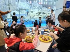 -帝企鹅自助餐厅•儿童岛•真企鹅(长隆企鹅酒店)