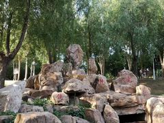 -长春公园(普阳街道)