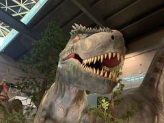 -湖南省地质博物馆