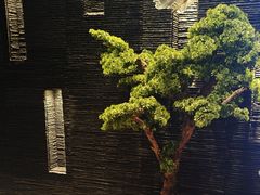 -上足·影院足道·SPA(红岭店)